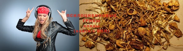 PSILOCYBIN Белоозёрский